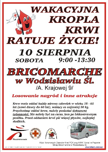 Bricomarche w Wodzisławiu - 10.08.2019
